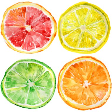Collection of fresh ripe orange, lemon, lime, grapefruit