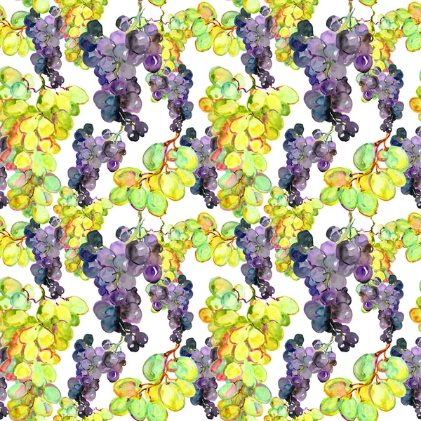 Akwarela winogrono wzór — Zdjęcie stockowe