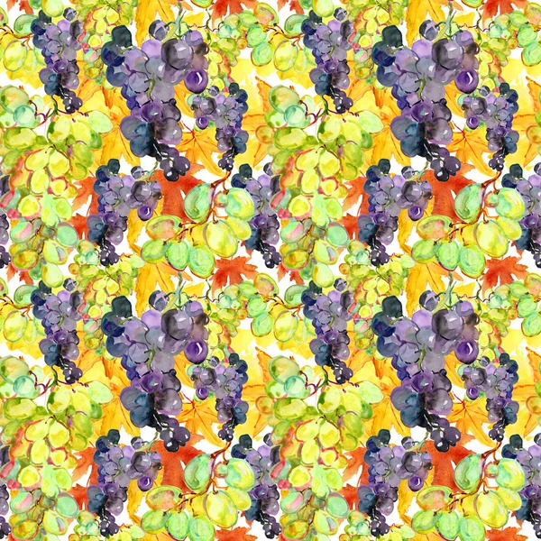 Seamless pattern with watercolor illustration of grapes with leaves — Stock Photo, Image