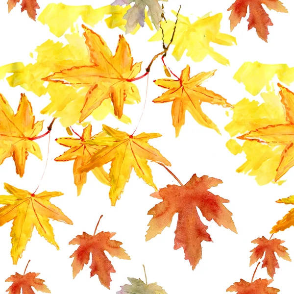 Feuille. motif aquarelle avec feuilles — Photo