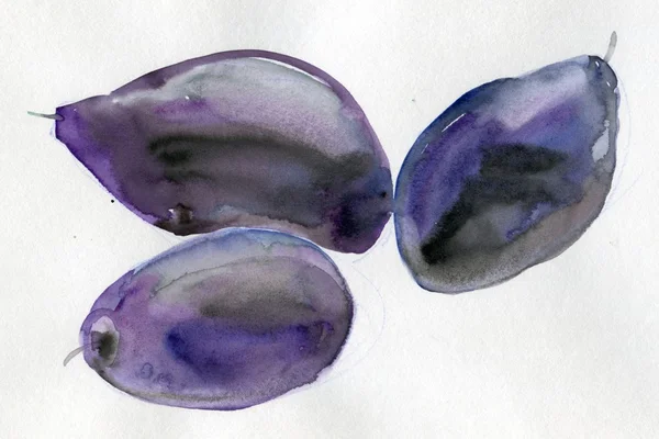 Watercolor with plums — Stock Photo, Image