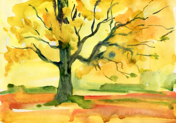 Herfst boom achtergrond — Stockfoto