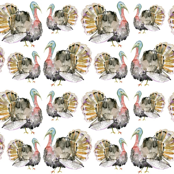 Watercolor turkeys — Stock Photo, Image