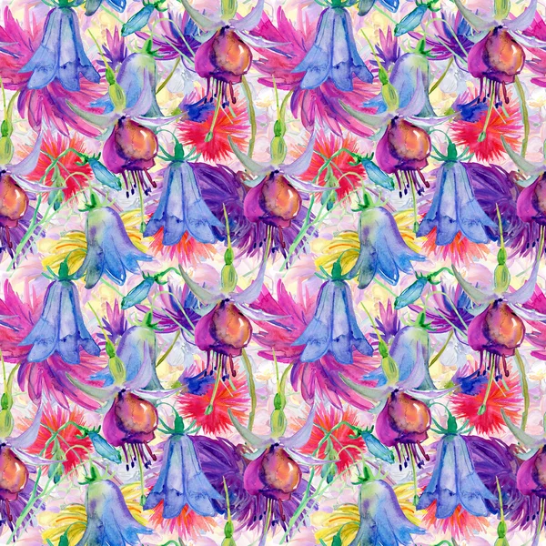 フクシアの花 — ストック写真