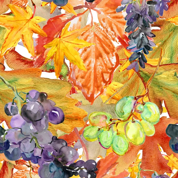 Uvas con hojas — Foto de Stock