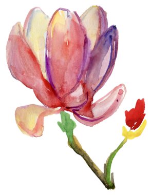 güzel pembe çiçek.