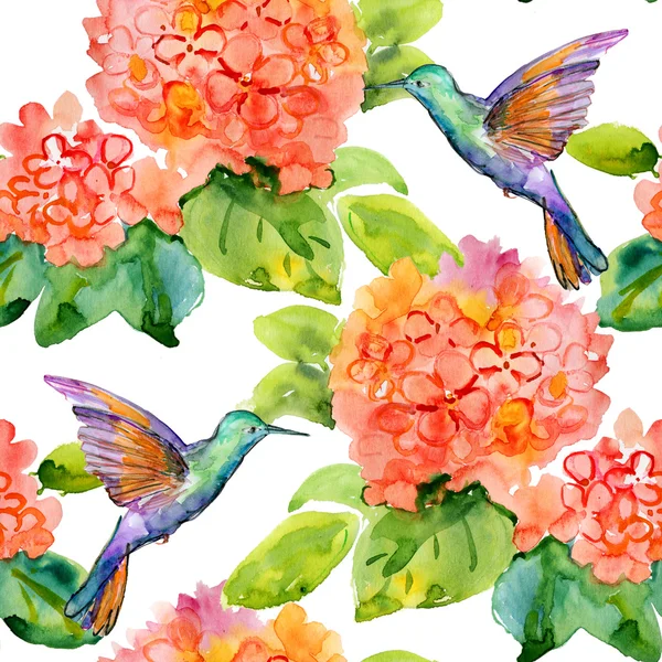 Vackra hydrangea blommor och fåglar. — Stockfoto