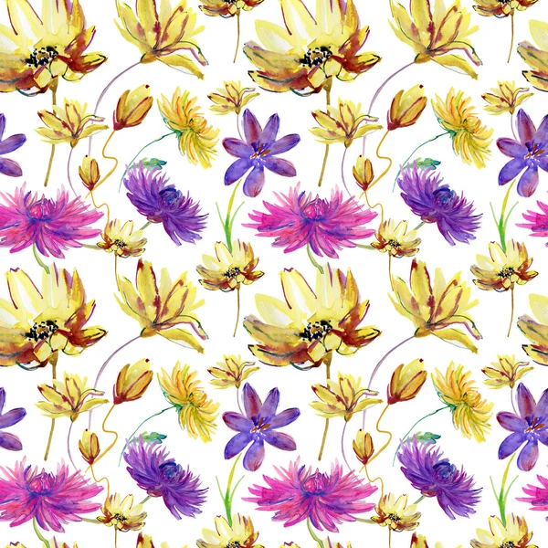 Цветки Хризантемы — стоковое фото