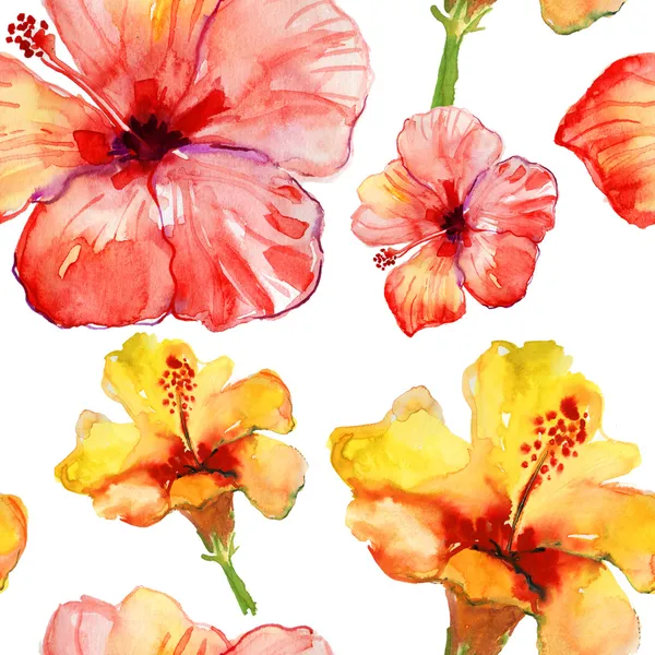 Naadloze patroon met hibiscus bloemen. — Stockfoto