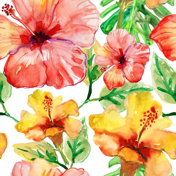 Hibiscus çiçek