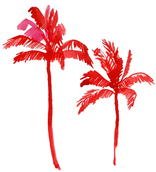 Czerwonych palmę — Zdjęcie stockowe