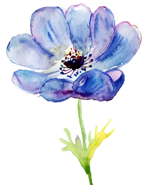 Dekorative blaue Blume, Aquarell-Illustration — Stockfoto