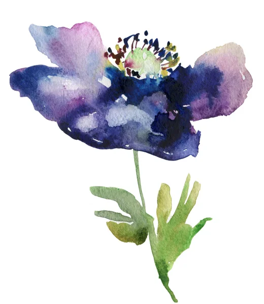 Watercolor anemone — Stock Photo, Image
