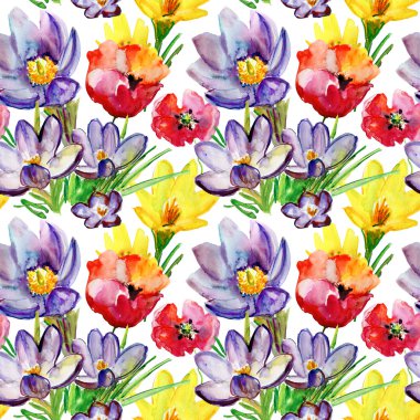 renkli bahar çiçekleri