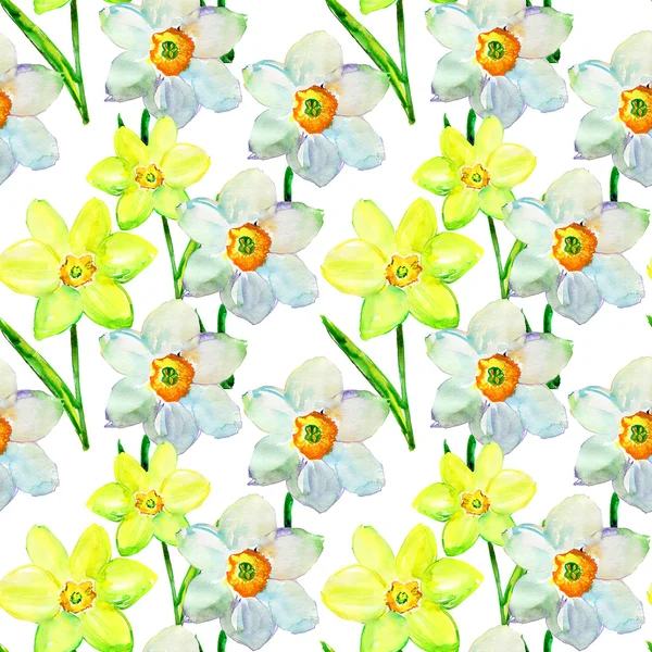 Narcisos flores . —  Fotos de Stock