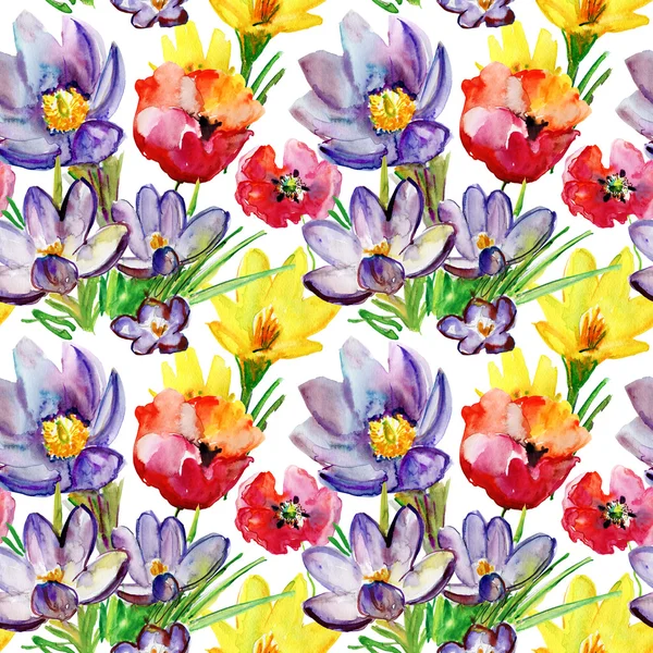 Fiori primaverili colorati — Foto Stock