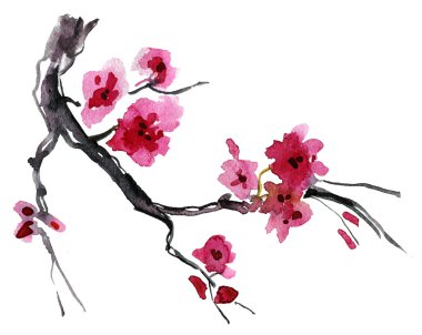 Realistic sakura blossom clipart