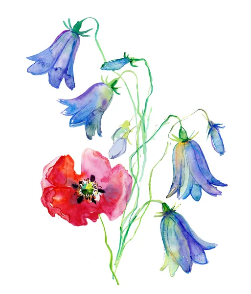 Illustration mit schönen Blumen — Stockfoto