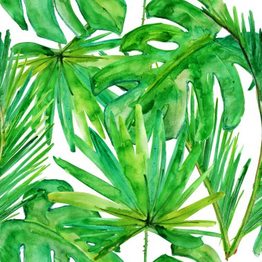Tropical leaves. clipart