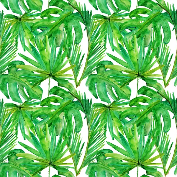 Tropical leaves. — Stock Photo, Image