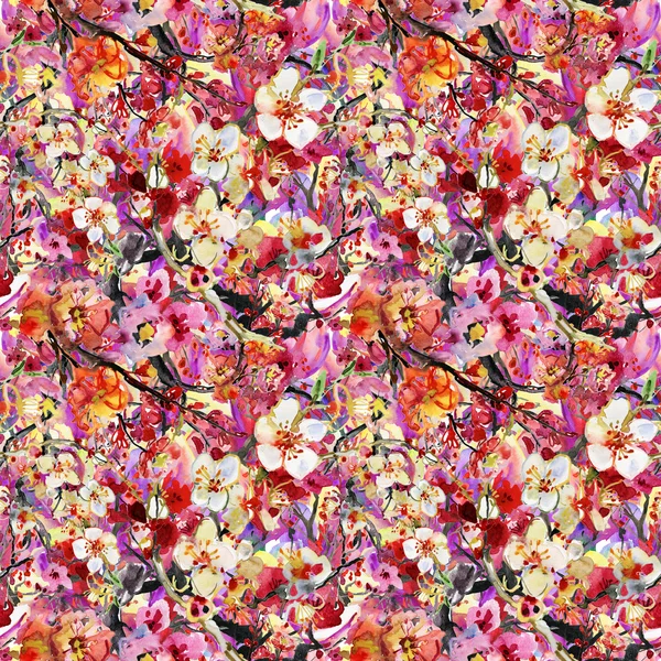 Sakura och orkidé. — Stockfoto