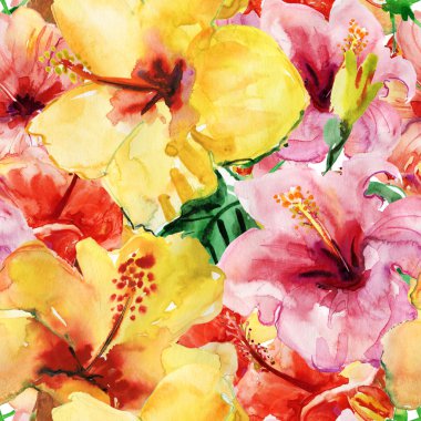 Sarı ve kırmızı ebegümeci