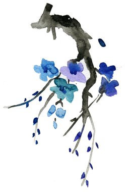 Kiraz çiçeği dalı..