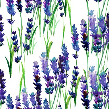 Sulu Boya Dikişsiz lavanta desen