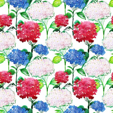 güzel beyaz, kırmızı ve mavi çiçekler