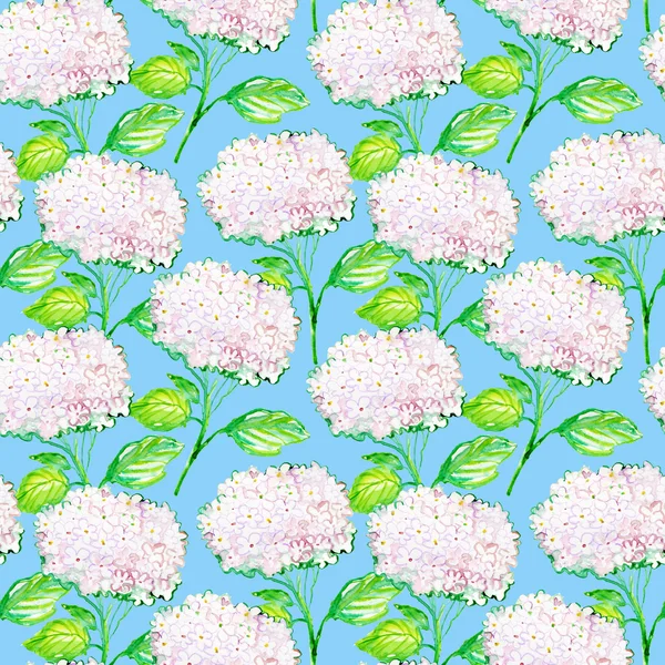 Pattern with Beautiful Hydrangea white flowers — Stock Photo, Image