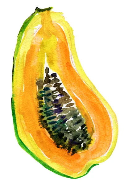 Papaja, akwarela ilustracja — Zdjęcie stockowe