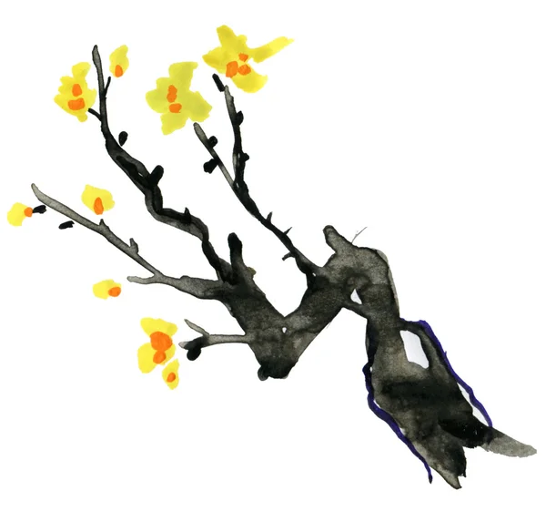 Цветок реалистической сакуры — стоковое фото