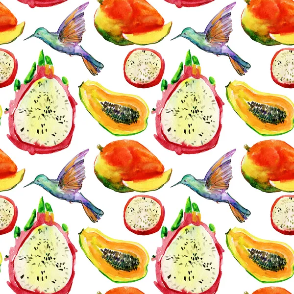 Exotic fruits and birds background. — Stock Photo, Image