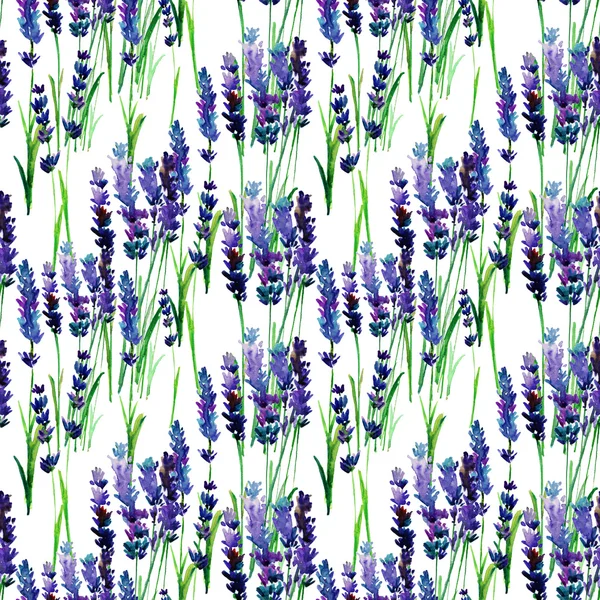 Aquarell nahtlose Lavendel-Muster — Stock fotografie