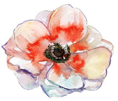 beyaz çiçek tomurcuğu