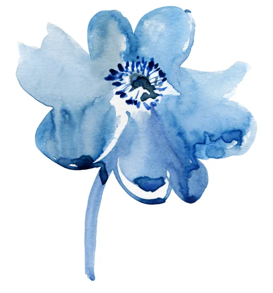 Fleur bleue décorative — Photo