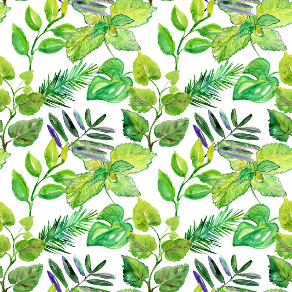 Watercolor green leaves seamless pattern — Stock Photo, Image