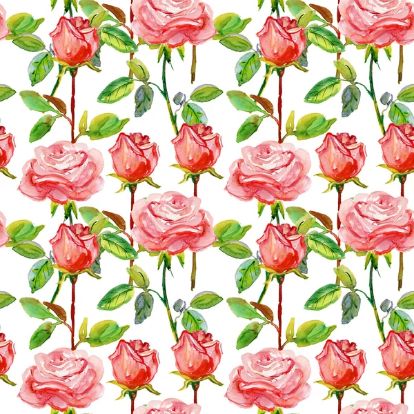 Roses Pattern — Stock Photo, Image