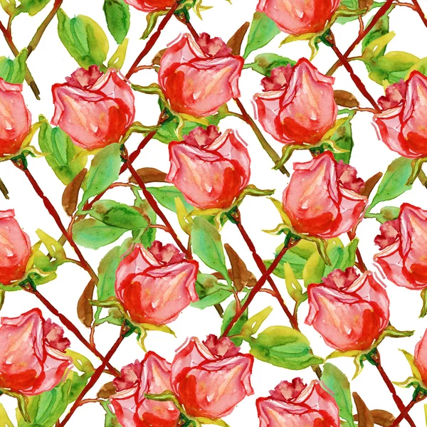 Rose flowers — Stock Photo, Image