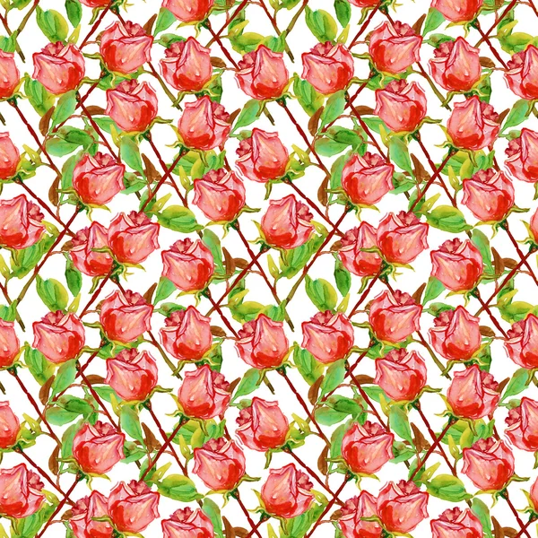 Flores de rosa —  Fotos de Stock