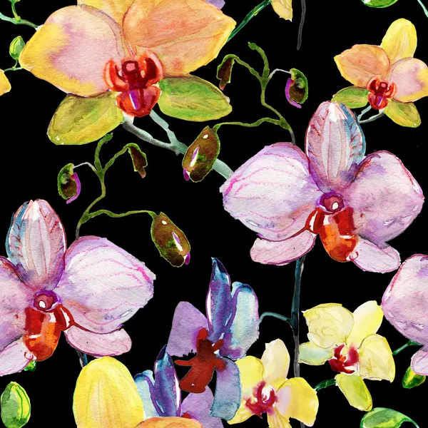 Flowers orchids — Stock Photo, Image