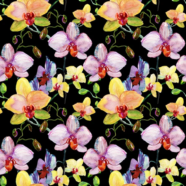 Kwiaty storczyki — Zdjęcie stockowe