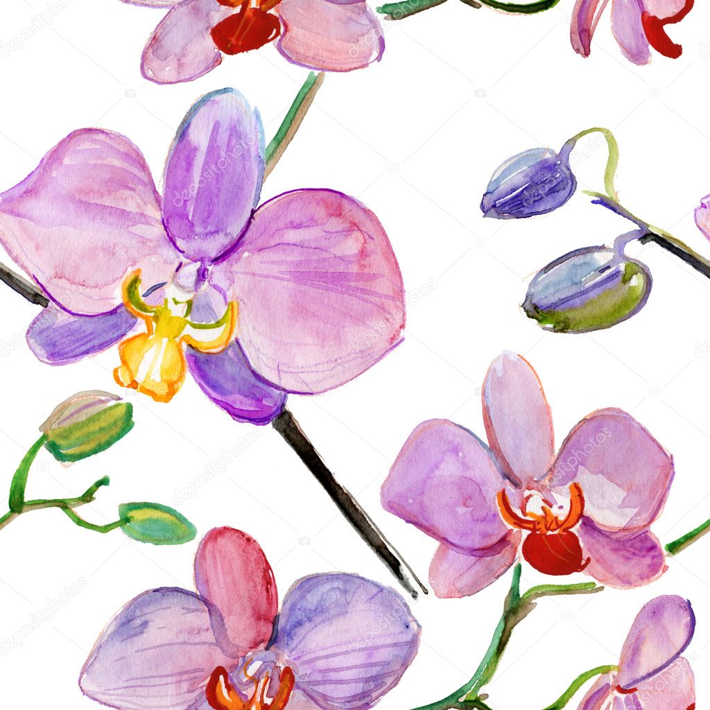 Orchid flowers and leaves