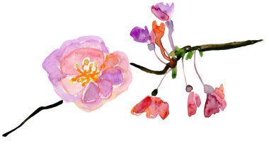 Yeni gelişen ağaç brunch