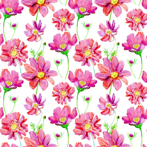 Kosmos Blommor Illustration Seamless Mönster — Stockfoto