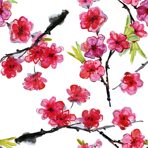 Kiraz ve Erik çiçekleri