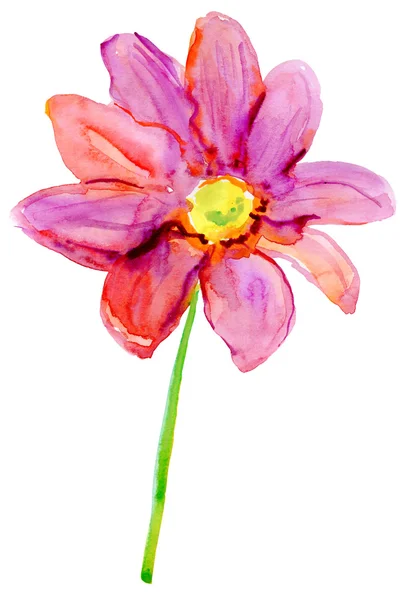 Güzel Pembe Çiçek Suluboya Resim — Stok fotoğraf