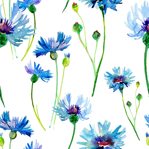 Cornflowers — Stock Photo, Image