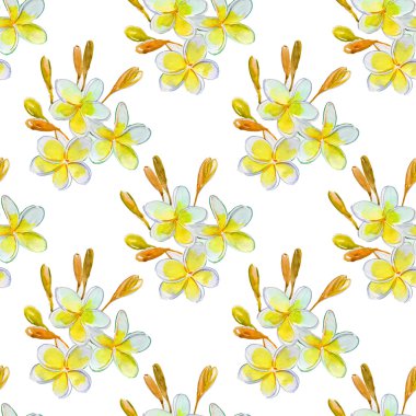 Plumeria tropik çiçekler