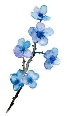 Yeni gelişen ağaç brunch